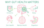 The Gut-Immune Connection:  Why Poor Digestion Means Poor Immunity